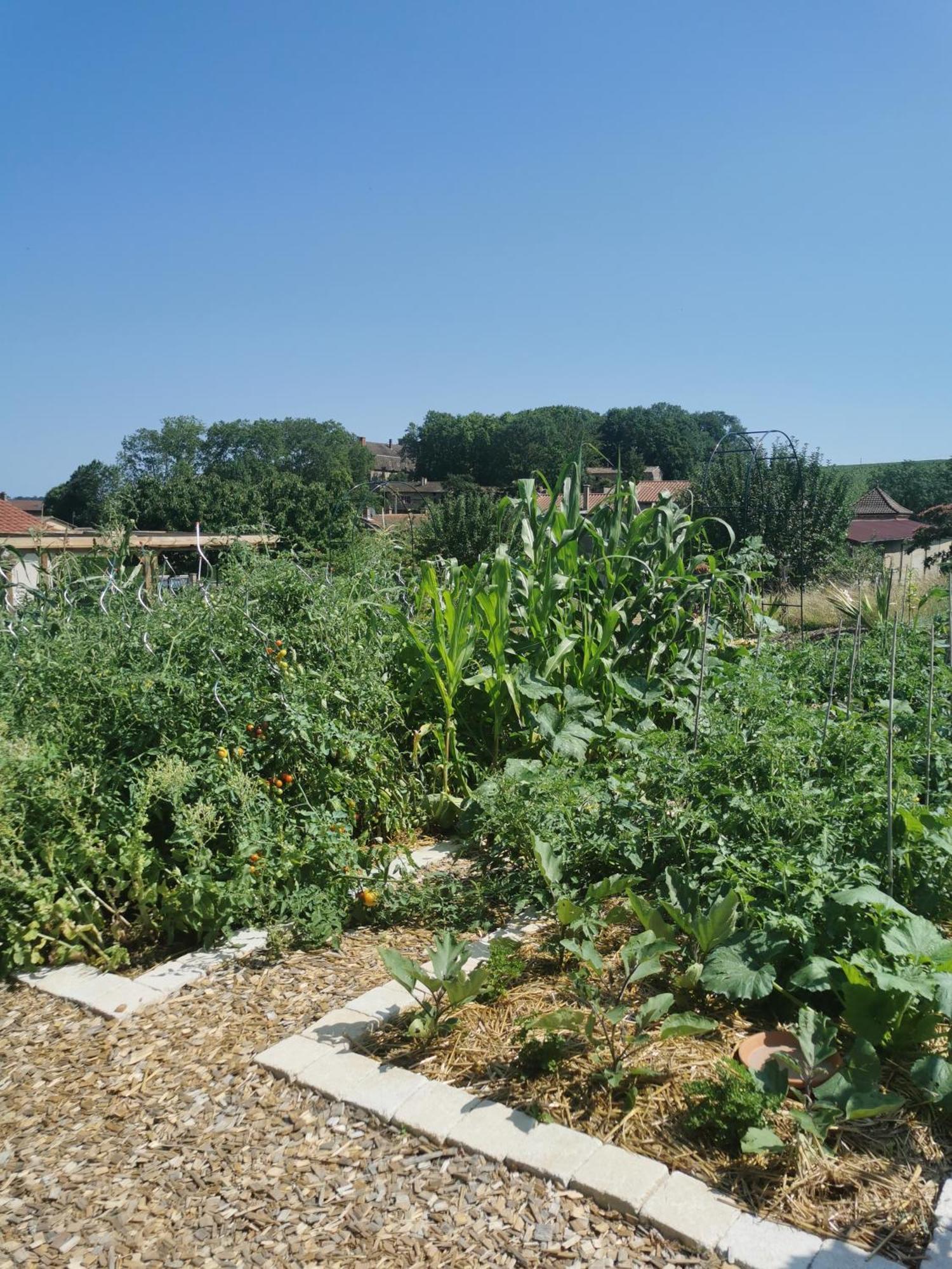 Au Jardin Des Deux Roches Acomodação com café da manhã Prissé Exterior foto