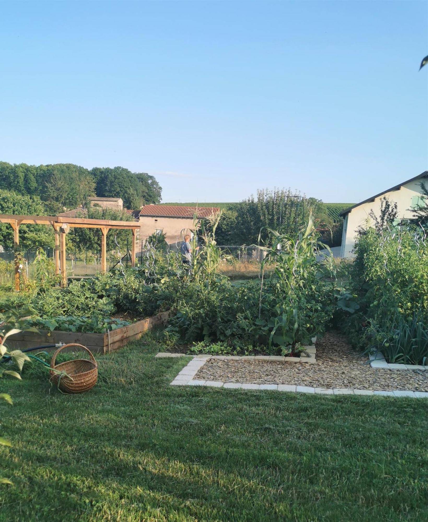 Au Jardin Des Deux Roches Acomodação com café da manhã Prissé Exterior foto